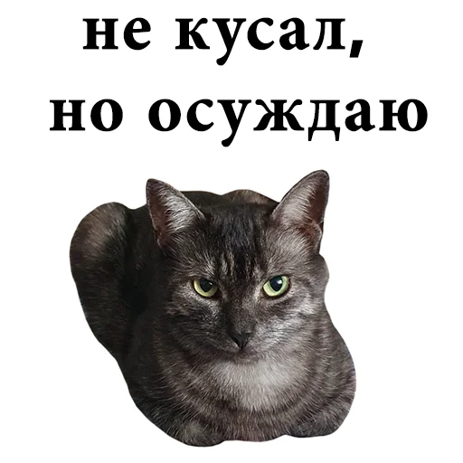 😠 Стикер «onix» для Telegram