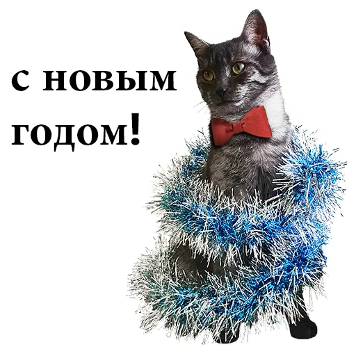 🎄 Стикер «onix» для Telegram