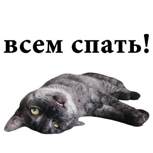 😴 Стикер «onix» для Telegram