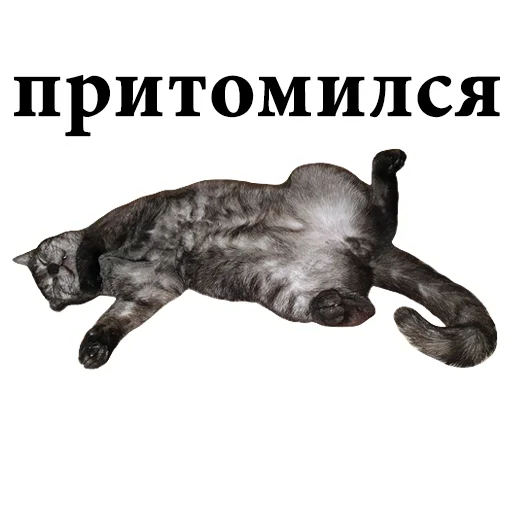 😴 Стикер «onix» для Telegram