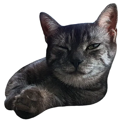 😉 Стикер «onix» для Telegram
