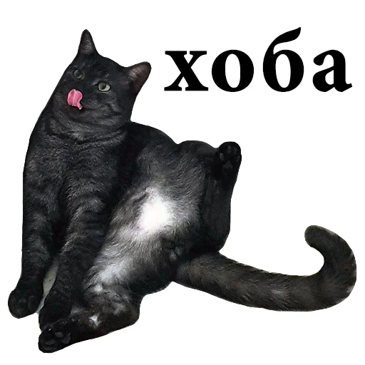 😜 Стикер «onix» для Telegram