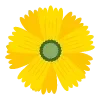 🌸 Эмодзи «Just flowers» для Telegram