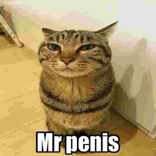 🤔 Стикер «only mr penis» для Telegram