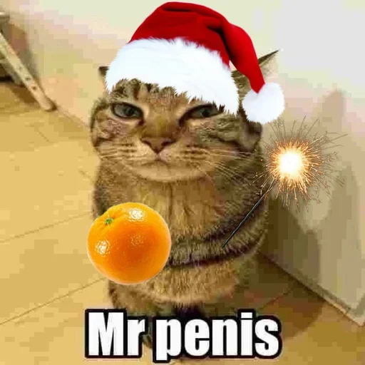😍 Стикер «only mr penis» для Telegram