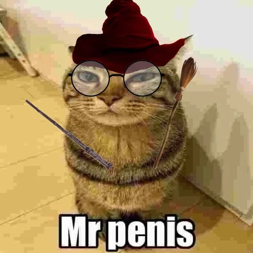 😜 Стикер «only mr penis» для Telegram