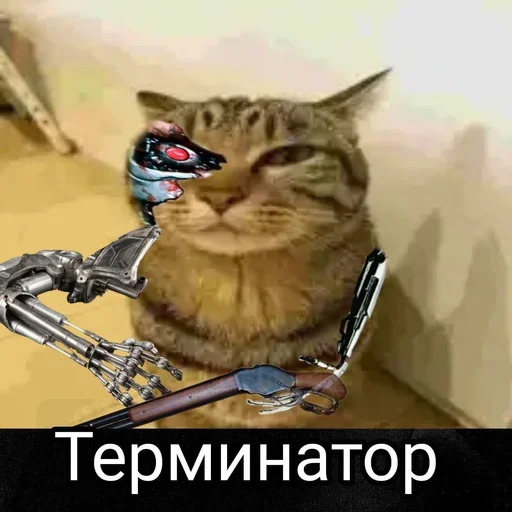 😘 Стикер «only mr penis» для Telegram