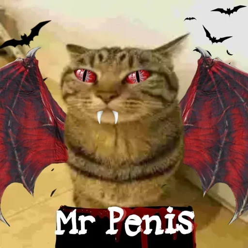 😱 Стикер «only mr penis» для Telegram