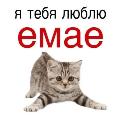 ❤️ Стикер «на милом» для Telegram