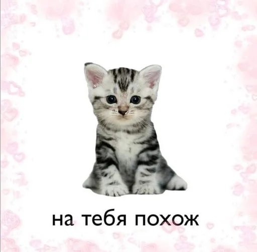 😚 Стикер «на милом» для Telegram