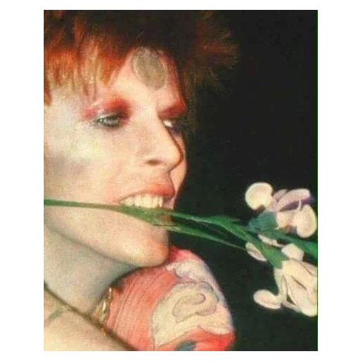💐 Стикер «David Bowie 3 Дэвид Боуи» для Telegram