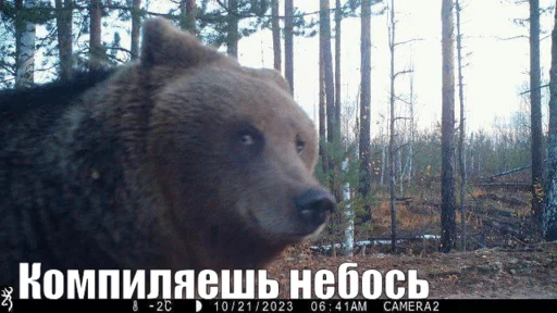 😉 Стикер «openbsd» для Telegram