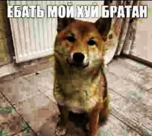 😤 Стикер «opentillate 11 11 1» для Telegram