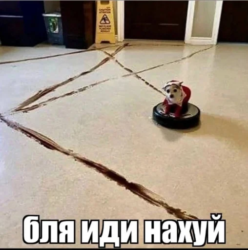 🖕 Стикер «opentillate 11 11 1» для Telegram