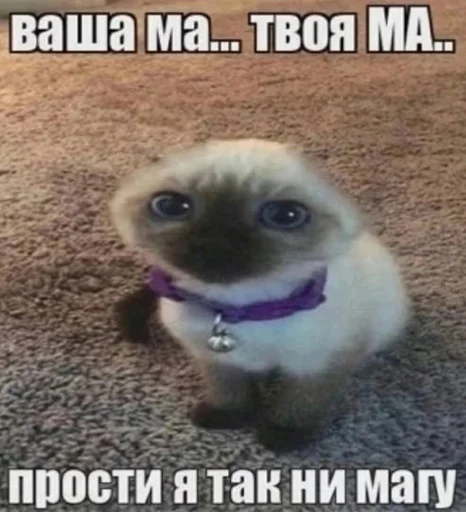 🤰 Стикер «opentillate 11 11 1» для Telegram
