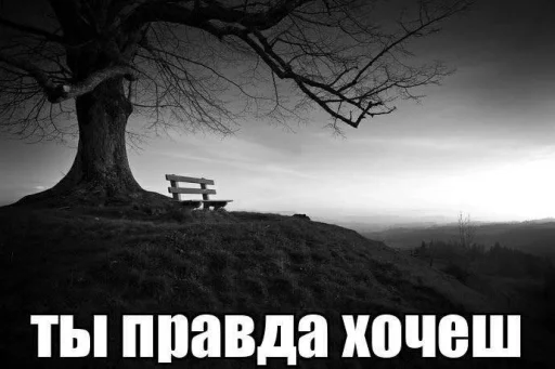 😔 Стикер «opentillate 11 11 1» для Telegram