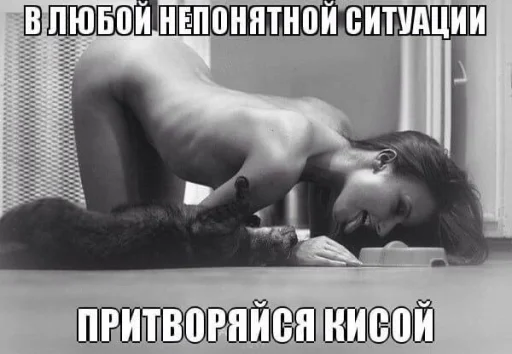 😸 Стикер «opentillate 11 11 1» для Telegram