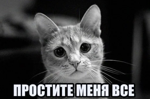 🙏 Стикер «opentillate 11 11 1» для Telegram