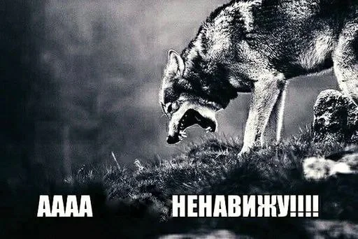 😡 Стикер «opentillate 11 11 1» для Telegram