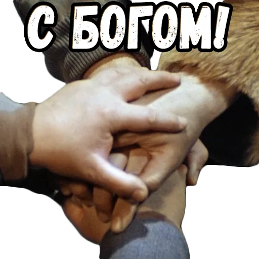 🤝 Стикер «Операция Ы» для Telegram