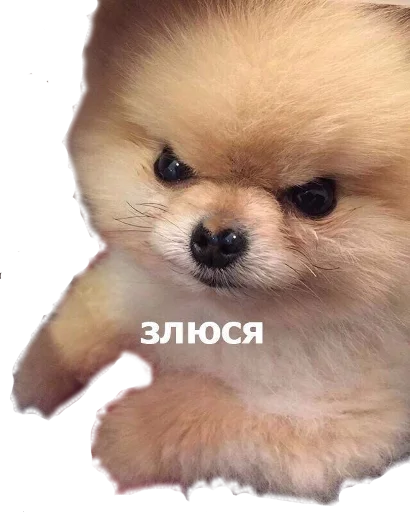 😡 Стикер «opgdobro» для Telegram