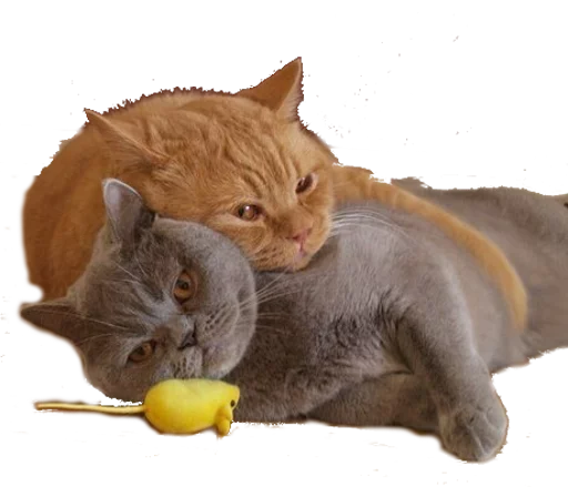 😘 Стикер «opgdobro» для Telegram