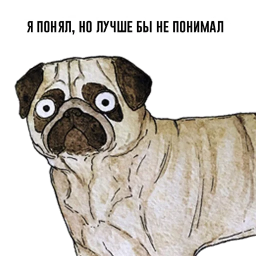 😳 Стикер «opgdobro» для Telegram