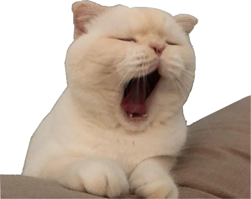 😴 Стикер «opgdobro» для Telegram