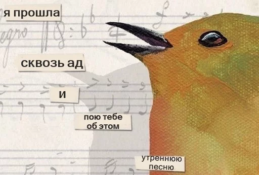 🎼 Стикер «opgdobro» для Telegram