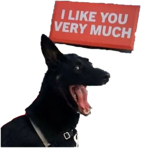 🐶 Стикер «opgdobro» для Telegram