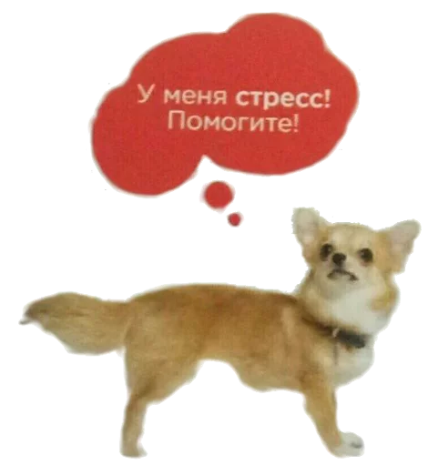 🌭 Стикер «opgdobro» для Telegram