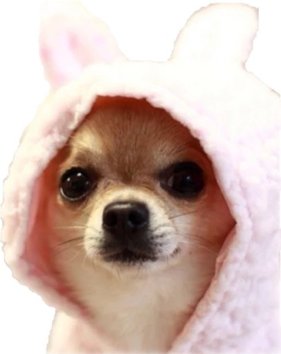 🐰 Стикер «opgdobro» для Telegram