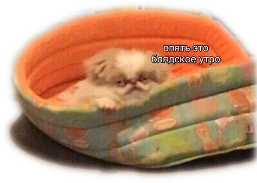 😒 Стикер «opgdobro» для Telegram