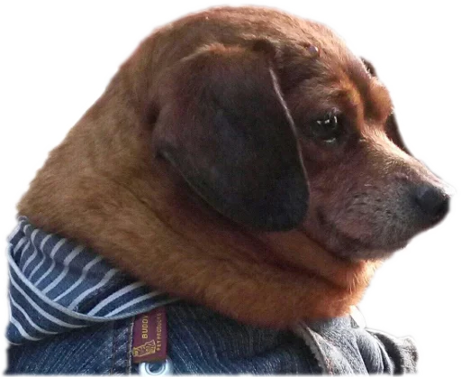 🌭 Стикер «opgdobro» для Telegram
