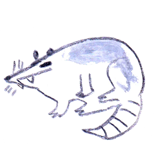 😴 Стикер «osier_forest_opossum» для Telegram