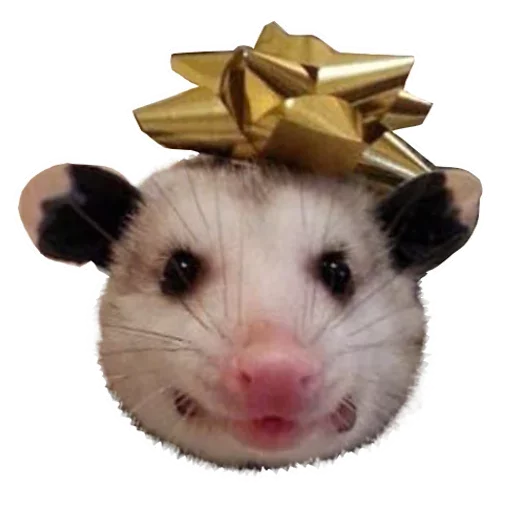 😝 Стикер «Opossum Coming» для Telegram