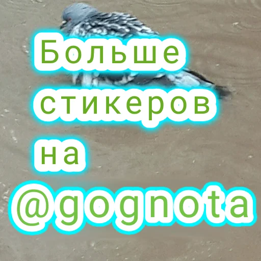 ❤️ Стикер «Ох уж эти опоссумы» для Telegram