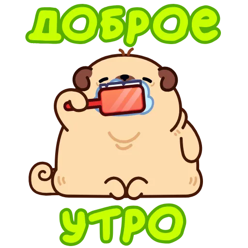 Мопс Пельмень