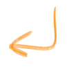 ⬅️ Эмодзи «orange» для Telegram