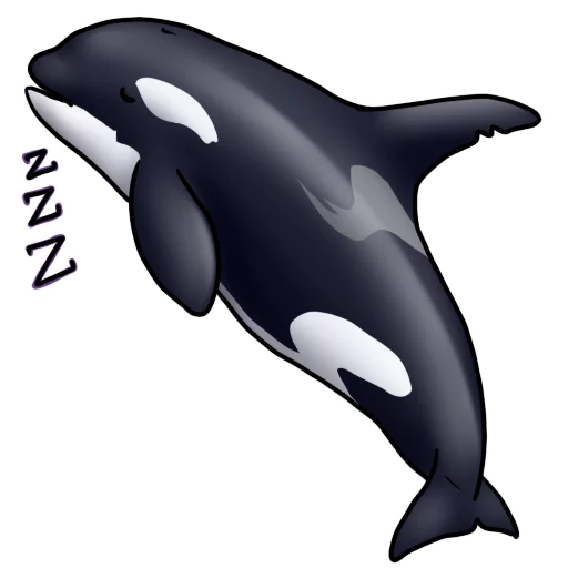 😴 Стикер «Orcas» для Telegram
