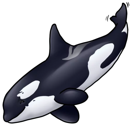 🐳 Стикер «Orcas» для Telegram