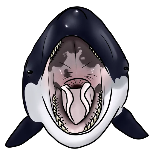 🍴 Стикер «Orcas» для Telegram