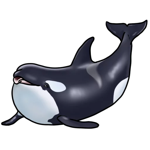😜 Стикер «Orcas» для Telegram