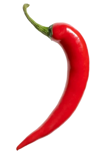 🌶 Стикер «Орех» для Telegram