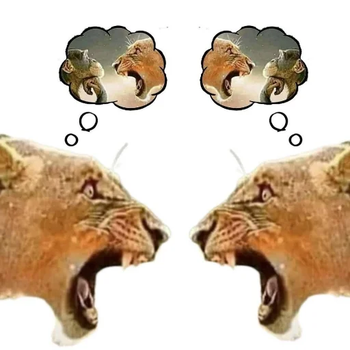 🤘 Стикер «Орех» для Telegram