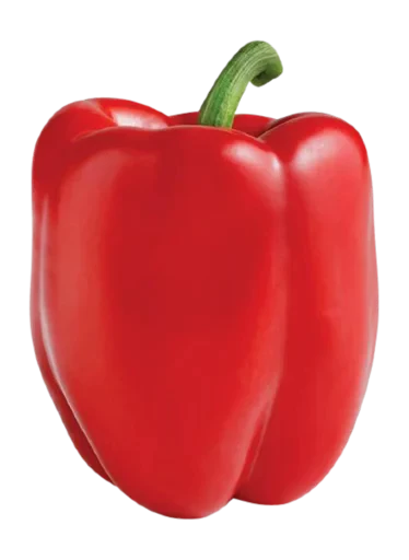 🌶 Стикер «Орех» для Telegram
