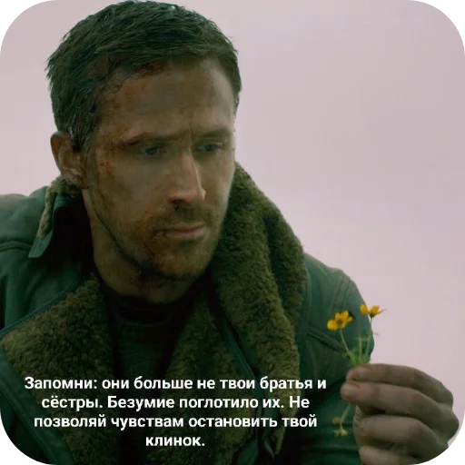 🗡 Стикер «Орех» для Telegram