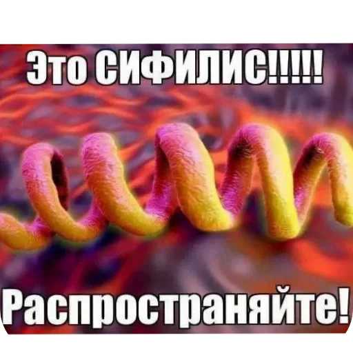 🖼 Стикер «Орех» для Telegram