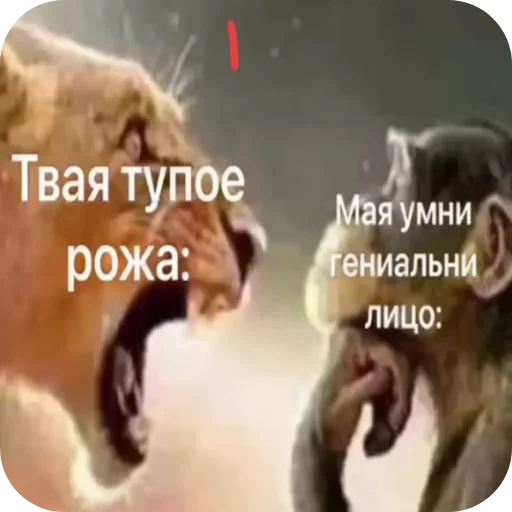 👍 Стикер «Орех» для Telegram