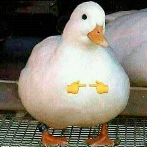 🦆 Стикер «оркад коханець циць» для Telegram